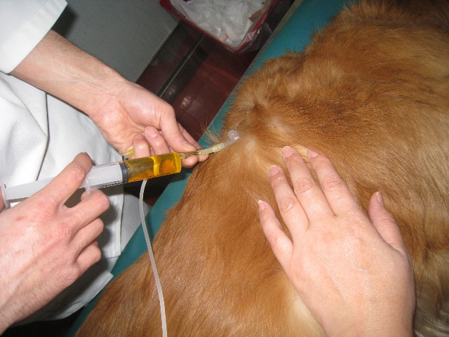 ファイル 709-1.jpg