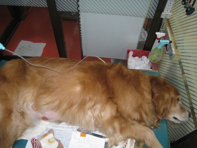 ファイル 709-2.jpg