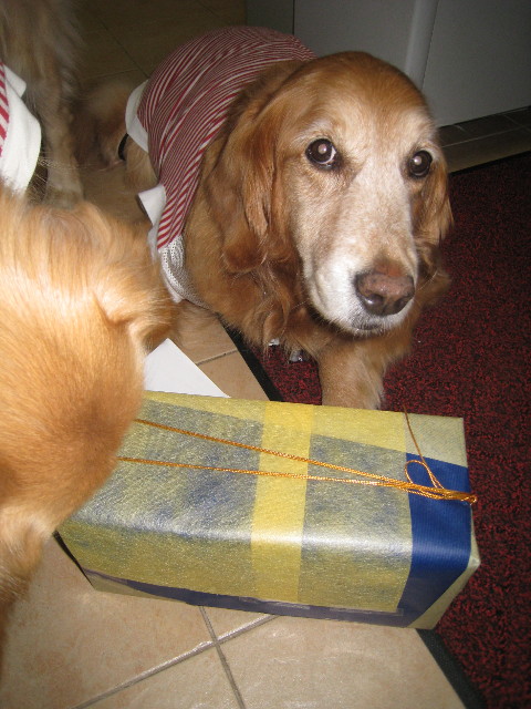 ファイル 709-3.jpg