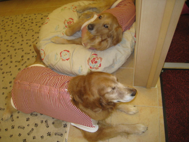 ファイル 709-5.jpg