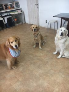 ファイル 7090-4.jpg