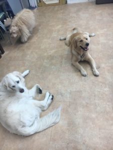 ファイル 7090-5.jpg