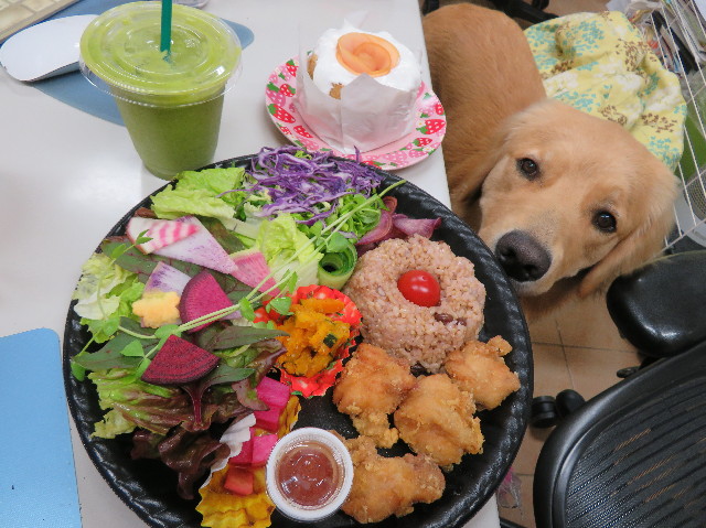 ファイル 7091-2.jpg