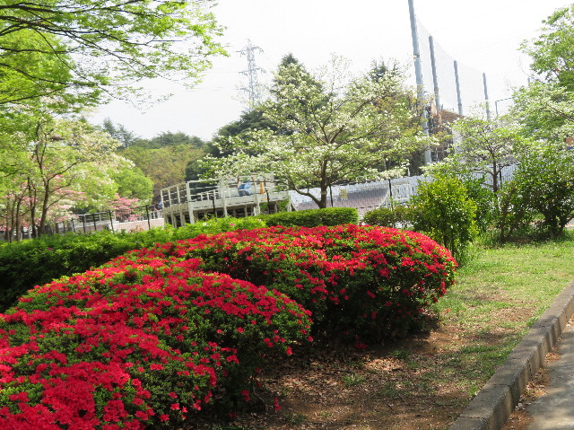 ファイル 7094-2.jpg