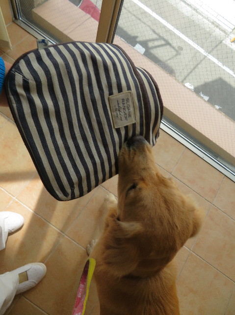 ファイル 7095-2.jpg