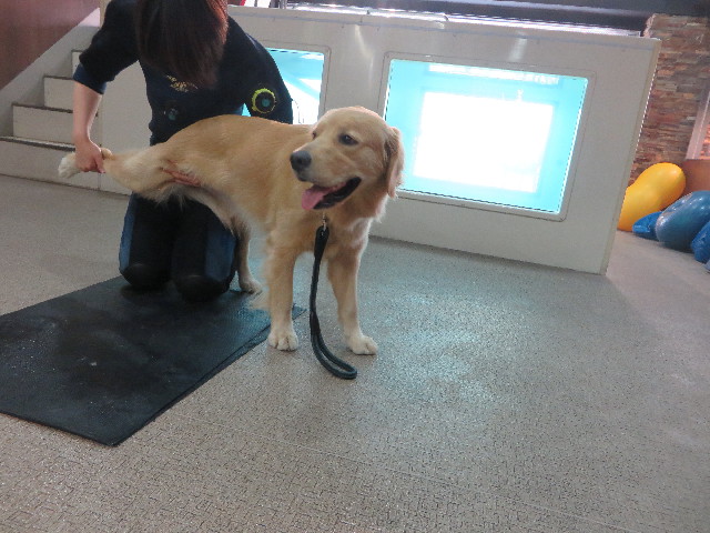 ファイル 7096-2.jpg