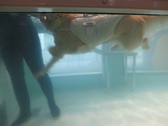 ファイル 7096-4.jpg