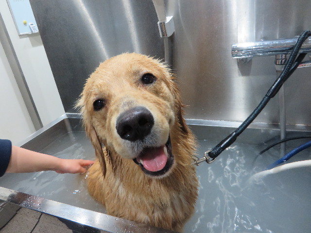 ファイル 7096-5.jpg