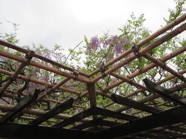 ファイル 7098-3.jpg