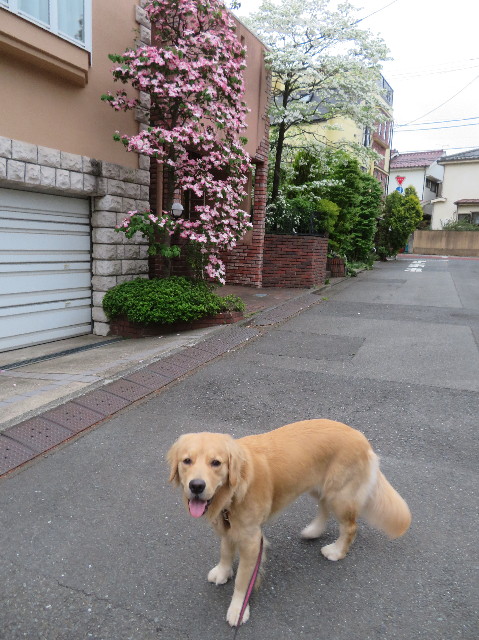 ファイル 7099-2.jpg