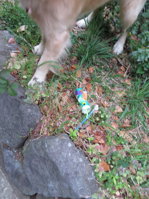 ファイル 7099-5.jpg