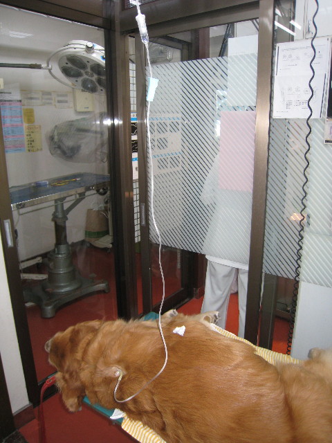 ファイル 710-3.jpg