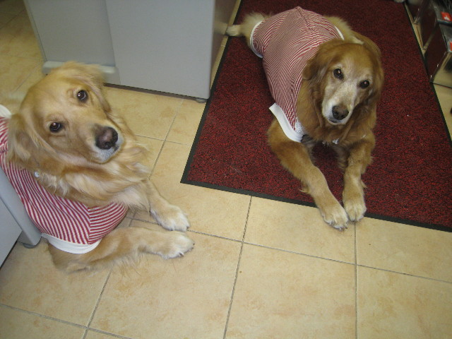 ファイル 710-4.jpg