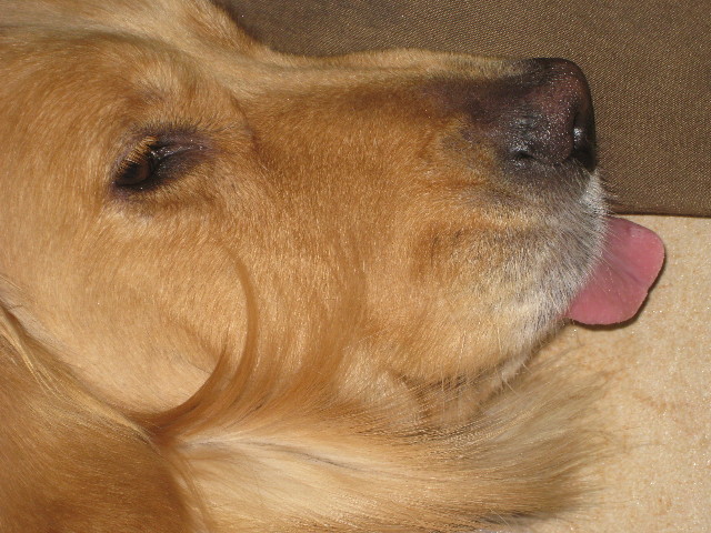 ファイル 710-5.jpg