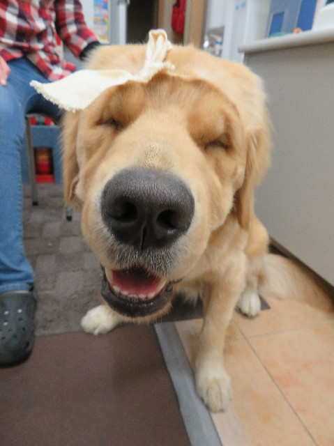 ファイル 7100-1.jpg