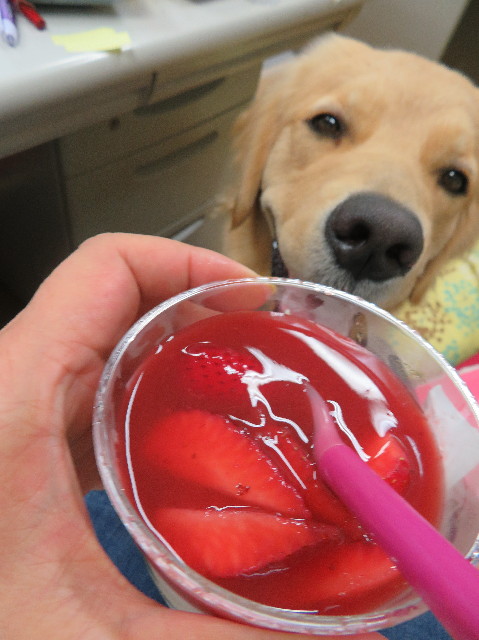 ファイル 7100-4.jpg