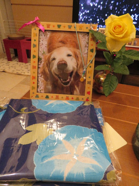 ファイル 7100-5.jpg