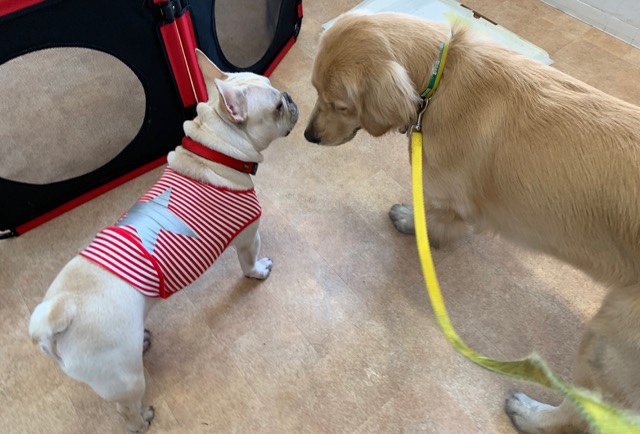 ファイル 7101-2.jpg