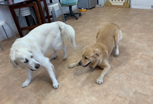 ファイル 7101-3.jpg