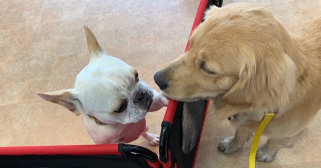 ファイル 7101-4.jpg