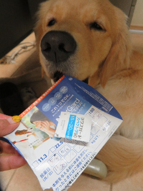 ファイル 7102-3.jpg