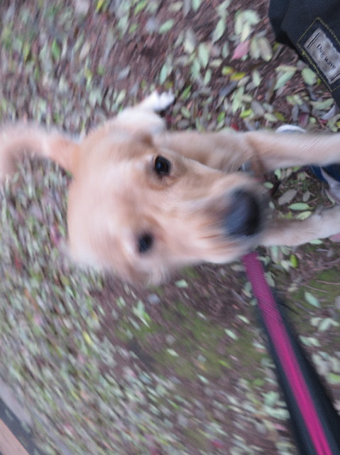 ファイル 7103-2.jpg