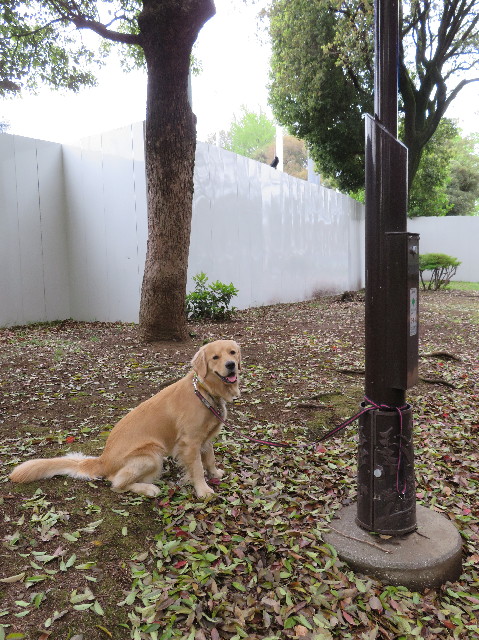 ファイル 7103-3.jpg