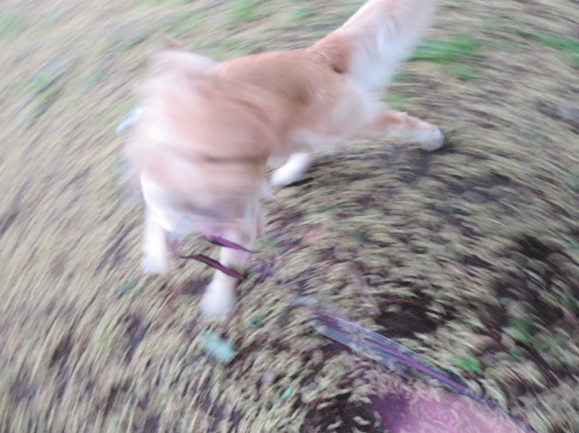 ファイル 7103-5.jpg