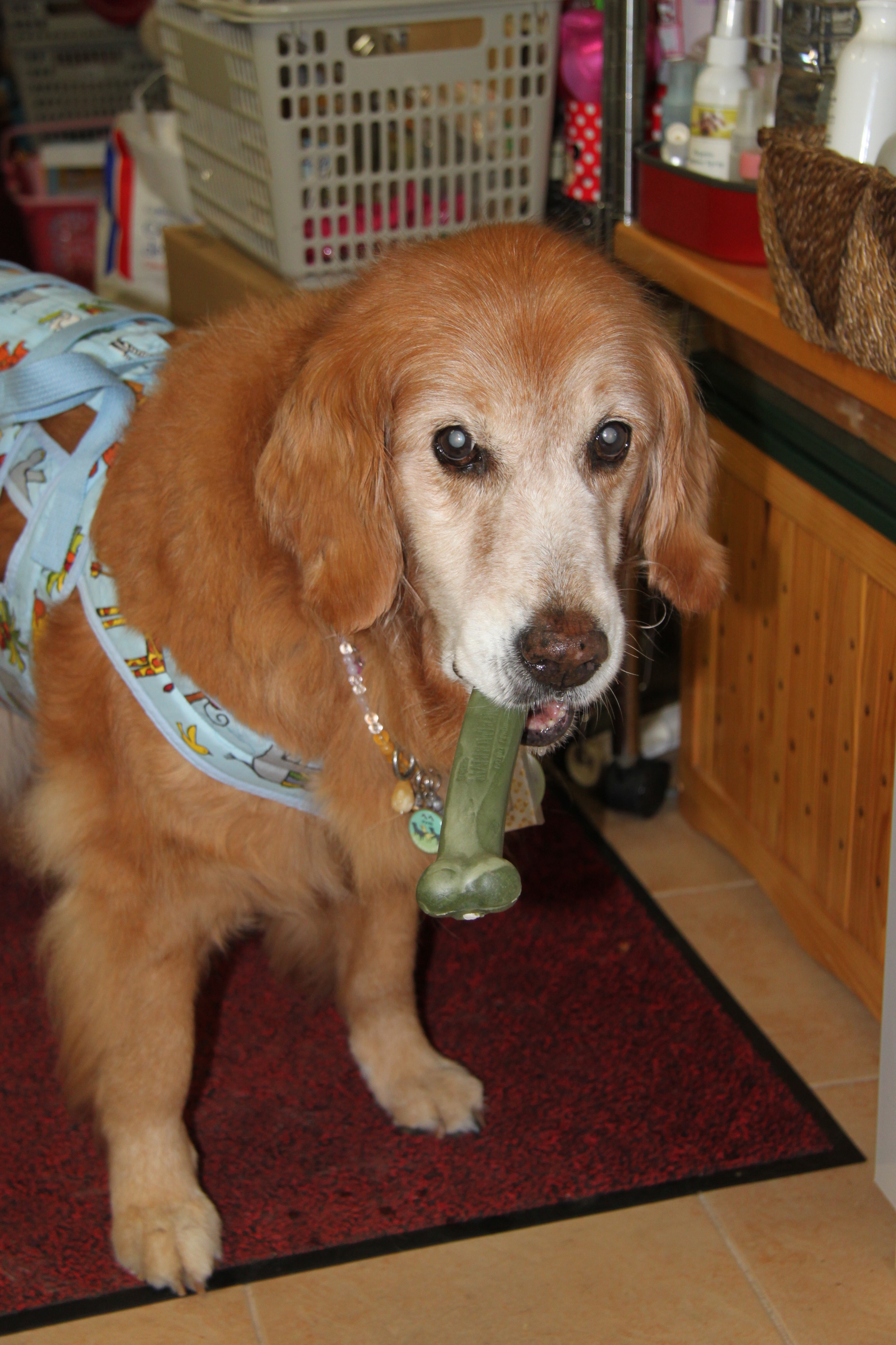 ファイル 7104-1.jpg