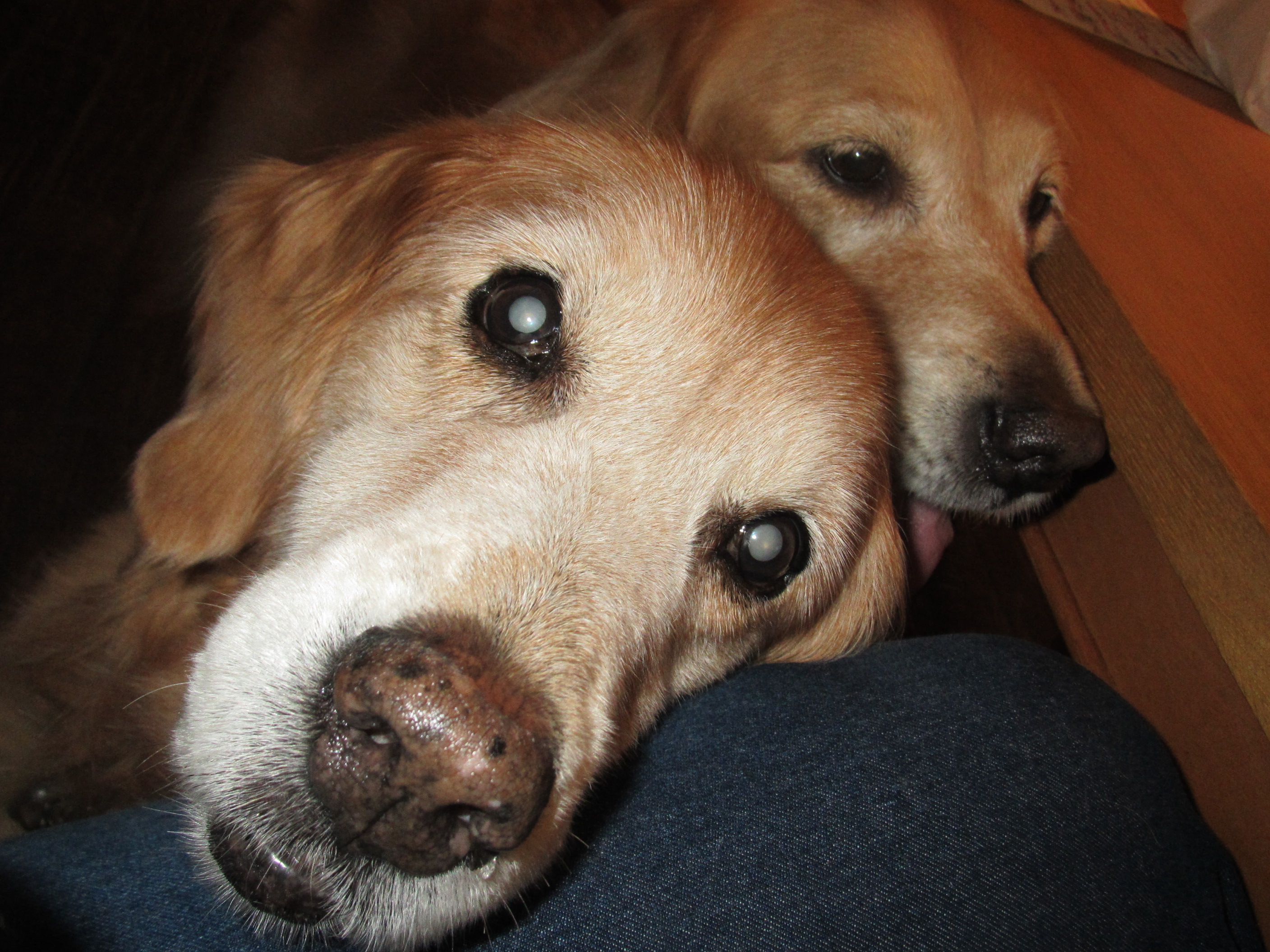 ファイル 7104-3.jpg