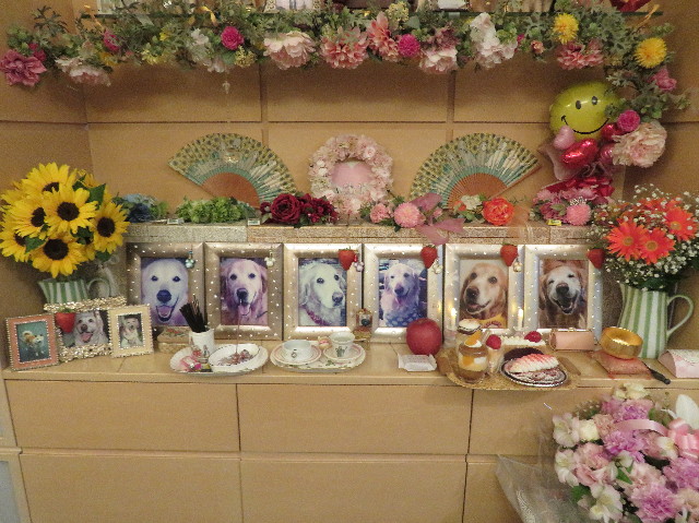 ファイル 7104-4.jpg