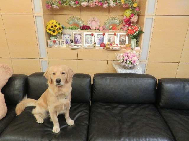 ファイル 7104-5.jpg