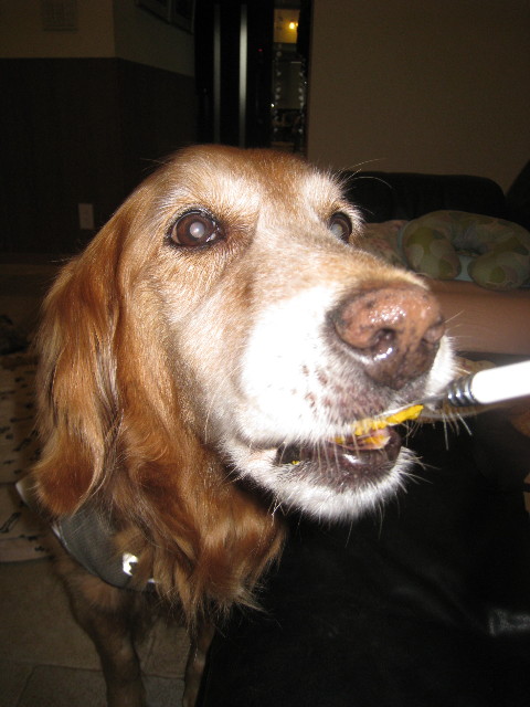 ファイル 711-1.jpg