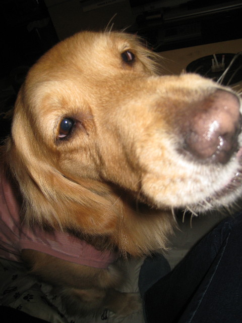 ファイル 711-2.jpg