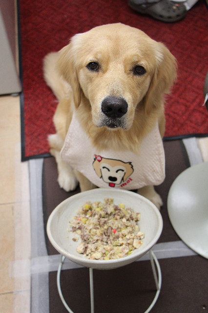 ファイル 7111-1.jpg