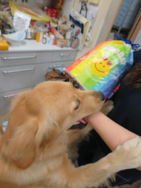 ファイル 7111-2.jpg