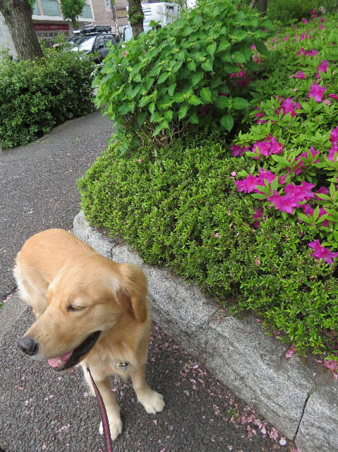 ファイル 7111-3.jpg