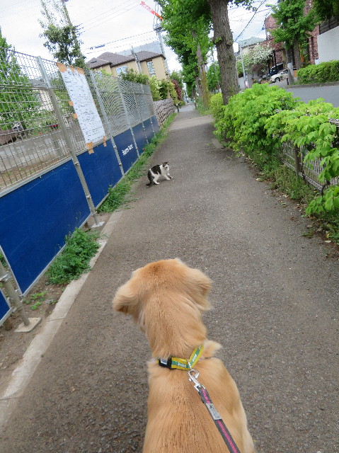 ファイル 7111-4.jpg