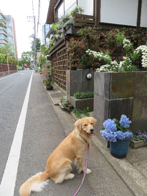 ファイル 7111-5.jpg