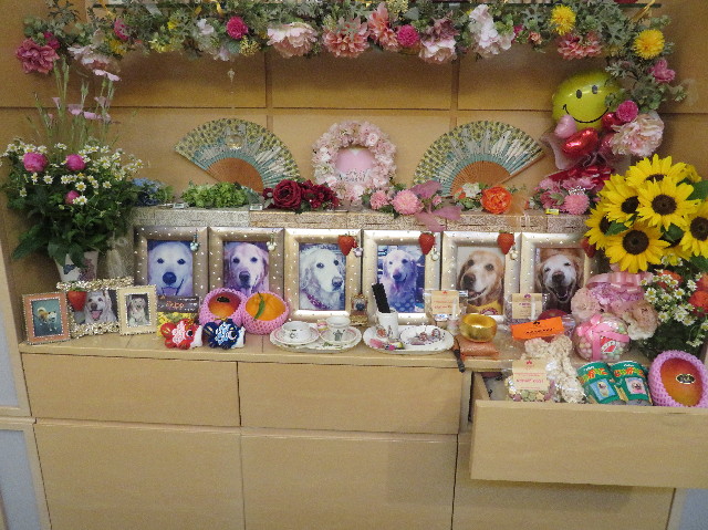 ファイル 7112-2.jpg