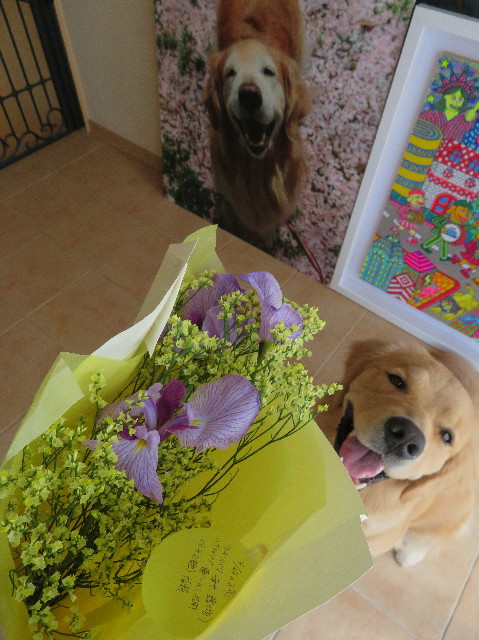 ファイル 7114-1.jpg