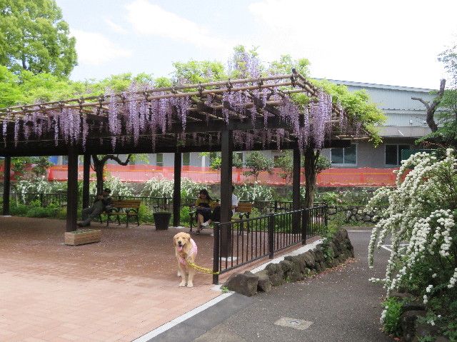 ファイル 7114-2.jpg