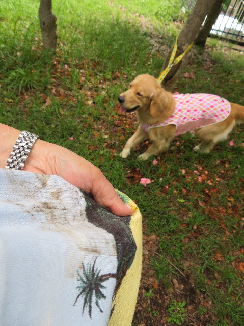 ファイル 7114-5.jpg