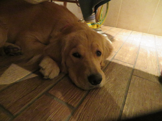 ファイル 7115-3.jpg