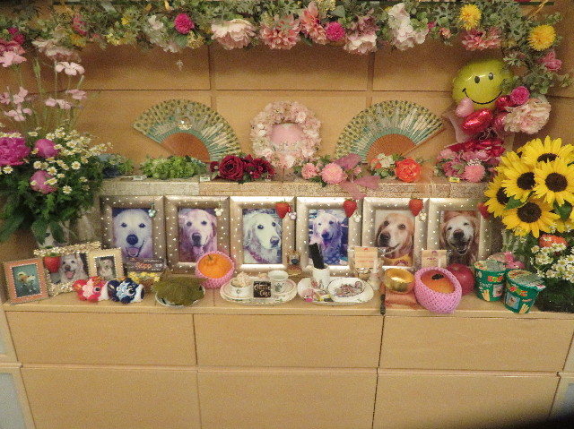 ファイル 7116-3.jpg