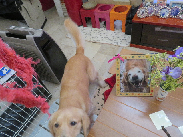 ファイル 7116-4.jpg