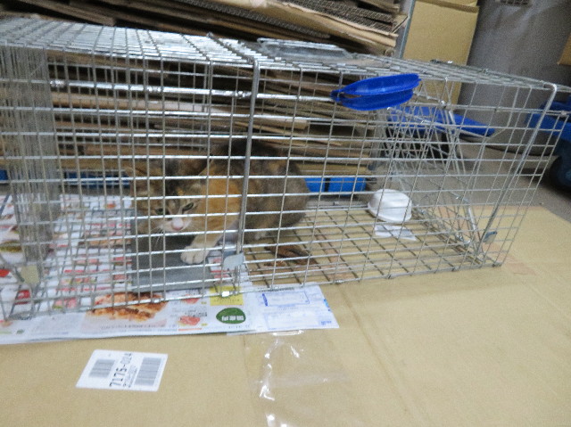 ファイル 7117-2.jpg