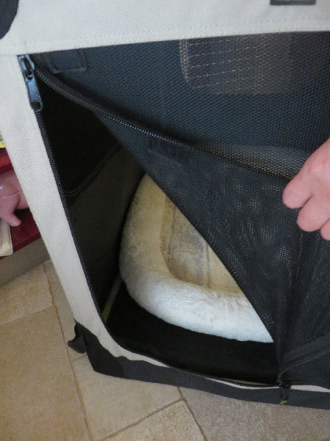 ファイル 7118-1.jpg