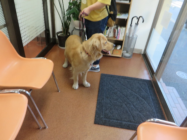 ファイル 7118-2.jpg