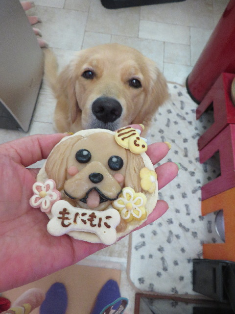 ファイル 7118-5.jpg